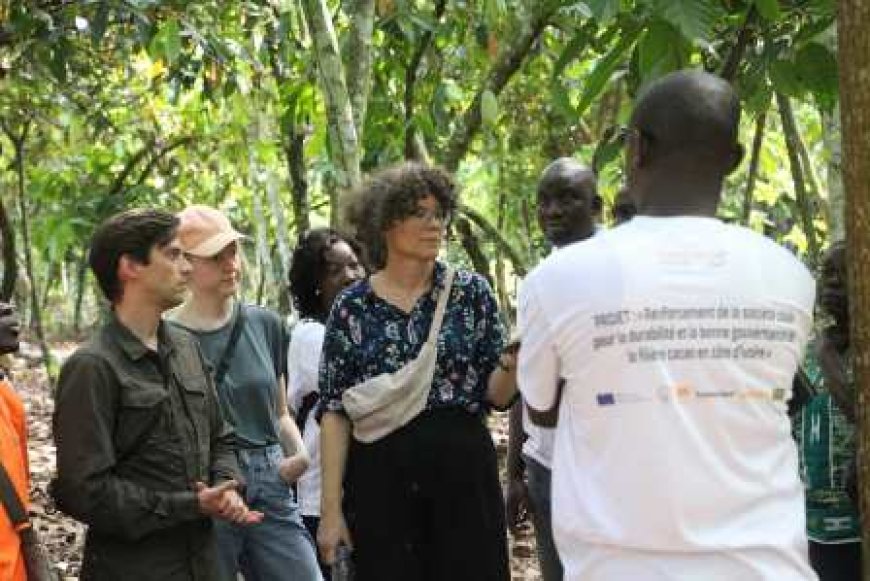 Une mission de terrain pour briser le silence sur la précarité rurale dans la gouvernance du cacao