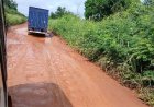 Ouragahio–Sinfra : Le calvaire d'une route en agonie