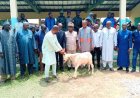 Séguéla / Foire de Tabaski : Le préfet rassure sur l’approvisionnement des moutons à toutes les bourses