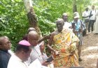 N’Douci : Amoa Urbain reçoit l’onction de l’Église pour la protection des valeurs ancestrales