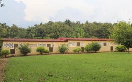 N’Douci : Amoa-City ouvre ses portes et lance la formation des premiers experts en diplomatie coutumière africaine