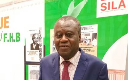 Prétendu rapprochement entre le PDCI et le Rhdp : Pr Jean-Noël Loukou, Secrétaire général de la fondation Felix Houphouët "Ce sont des rumeurs..."