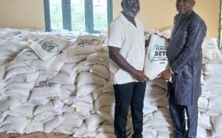 Région du Gôh : Le ministre Alcide Djédjé offre 18 tonnes de riz pour la Tabaski et la Pentecôte