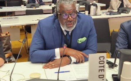 Leadership sanitaire : Le Pr Mamadou Samba élu Vice-président de l'OMS
