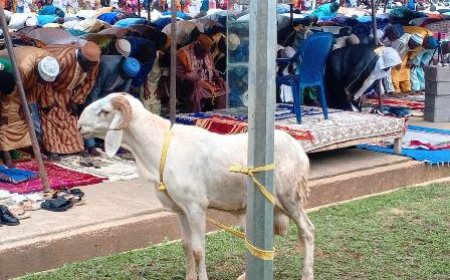 Séguéla / Tabaski : L'Imam Issiaka Camara appelle à une éducation familiale rigoureuse des jeunes
