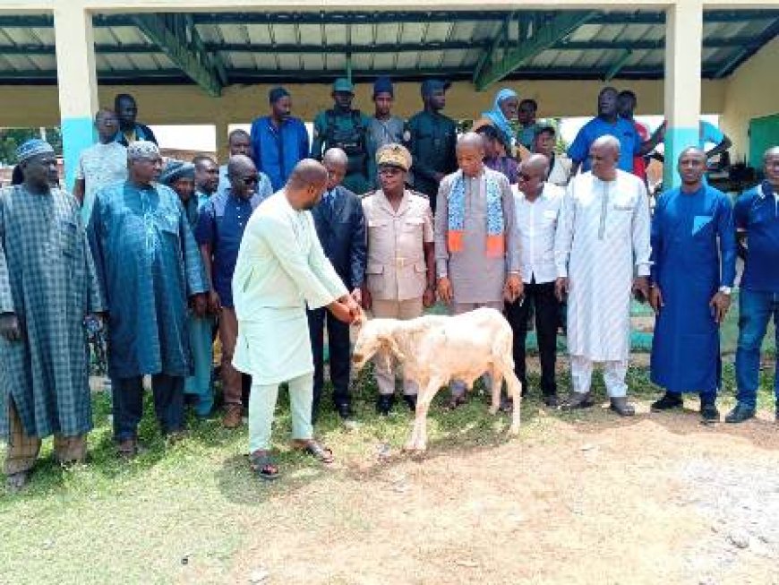 Séguéla / Foire de Tabaski : Le préfet rassure sur l’approvisionnement des moutons à toutes les bourses