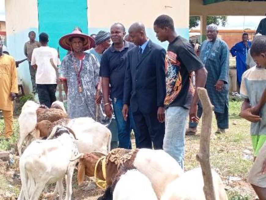 Séguéla / Foire de Tabaski : Le préfet rassure sur l’approvisionnement des moutons à toutes les bourses