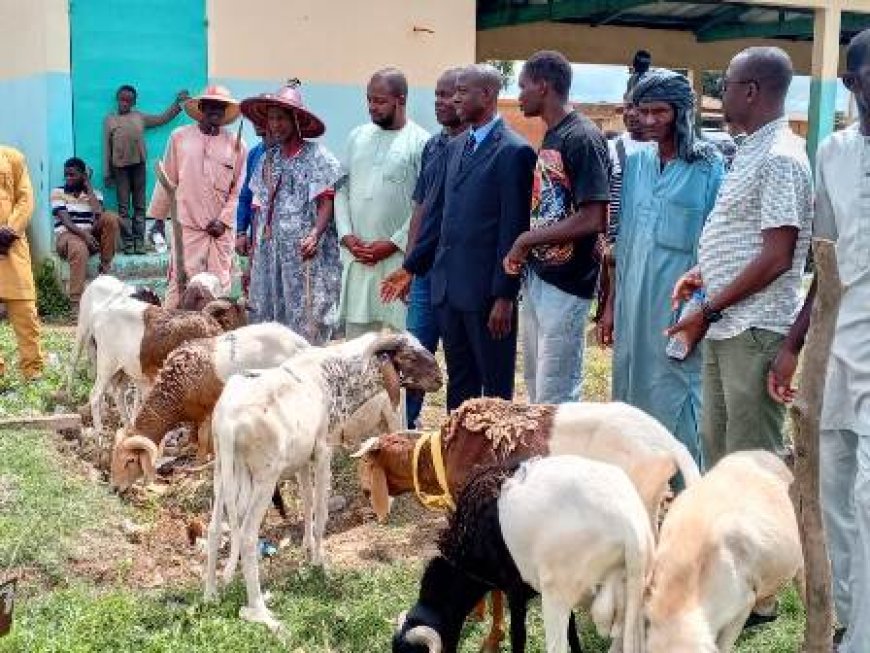 Séguéla / Foire de Tabaski : Le préfet rassure sur l’approvisionnement des moutons à toutes les bourses