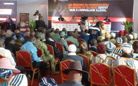 Séguéla / Orpaillage illégal : Le ministre Sangafowa-Coulibaly annonce de bonnes nouvelles pour le Woroba