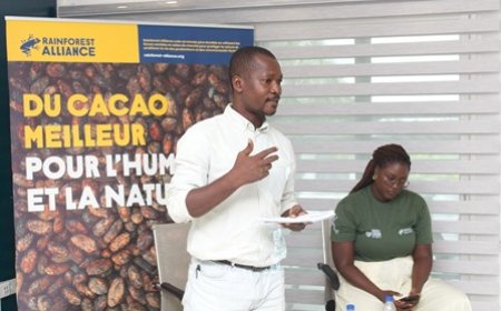 Rainforest Alliance 2025 et renforce son engagement auprès des médias ivoiriens