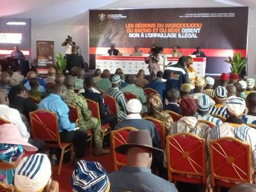Séguéla / Orpaillage illégal : Le ministre Sangafowa-Coulibaly annonce de bonnes nouvelles pour le Woroba