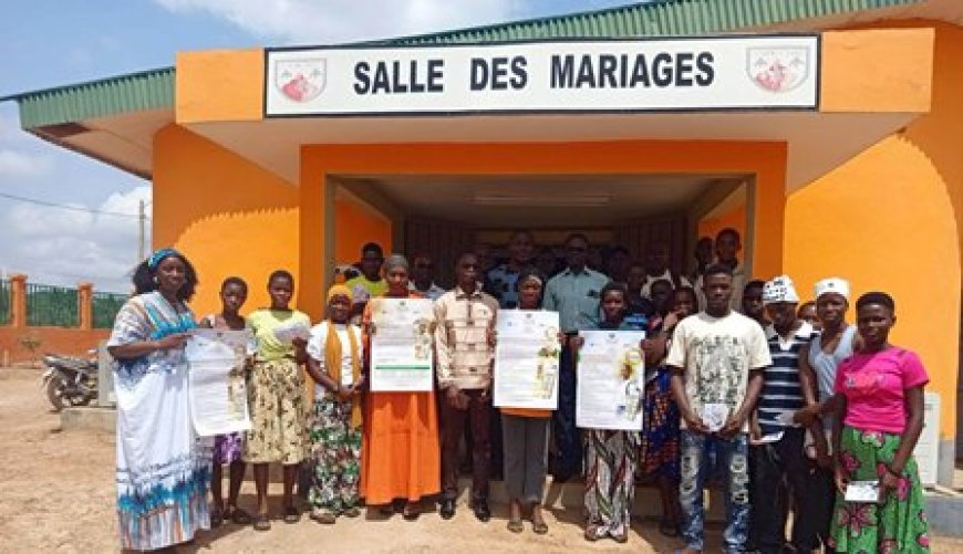 Sinématiali : Opération d'affectation et d'orientation 2026, voici ce qui change