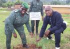 Diégonéfla : À Gouéda, 1 500 arbres plantés pour reverdir la forêt et semer les graines de la paix