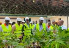 Bouaké : Au CNRA, une visite placée sous le signe de la transformation concrète de l’agriculture vivrière