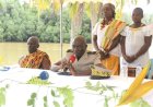 Tourisme, culture et développement : Le festival Climbié Beach d’Assinie lancé