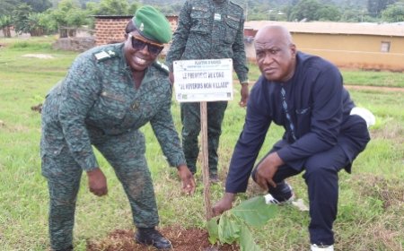 Diégonéfla : À Gouéda, 1 500 arbres plantés pour reverdir la forêt et semer les graines de la paix