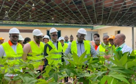 Bouaké : Au CNRA, une visite placée sous le signe de la transformation concrète de l’agriculture vivrière