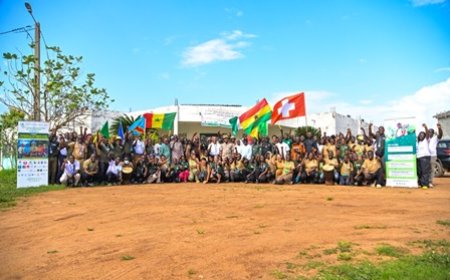 Camp International De Reboisement 2026 A KANI : La Fondation Cœur Vert mobilise l’Afrique et l’Europe pour planter 50 000 arbres