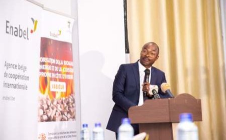 Transitional énergétique : La Côte d'Ivoire valide sa Stratégie Nationale de la Cuisson Propre à Yamoussoukro