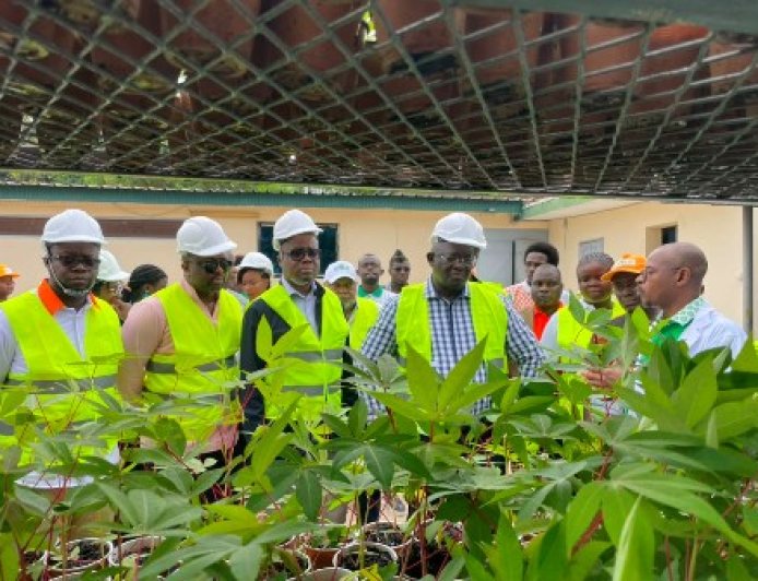 Bouaké : Au CNRA, une visite placée sous le signe de la transformation concrète de l’agriculture vivrière