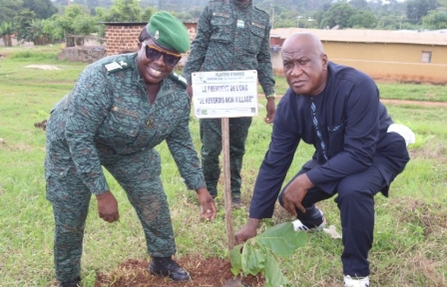 Diégonéfla : À Gouéda, 1 500 arbres plantés pour reverdir la forêt et semer les graines de la paix