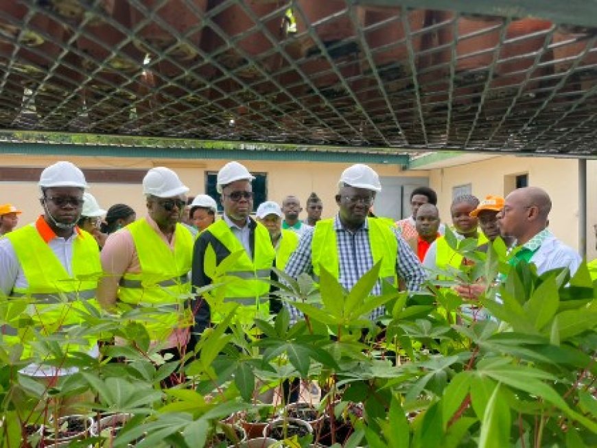 Bouaké : Au CNRA, une visite placée sous le signe de la transformation concrète de l’agriculture vivrière