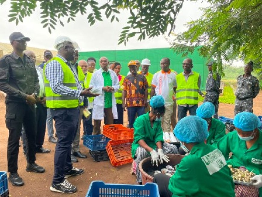 Bouaké : Au CNRA, une visite placée sous le signe de la transformation concrète de l’agriculture vivrière