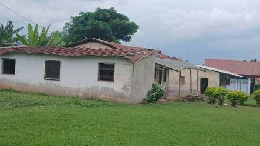 Kpapékou : Une paroisse qui prie… et qui attend d'être restaurée