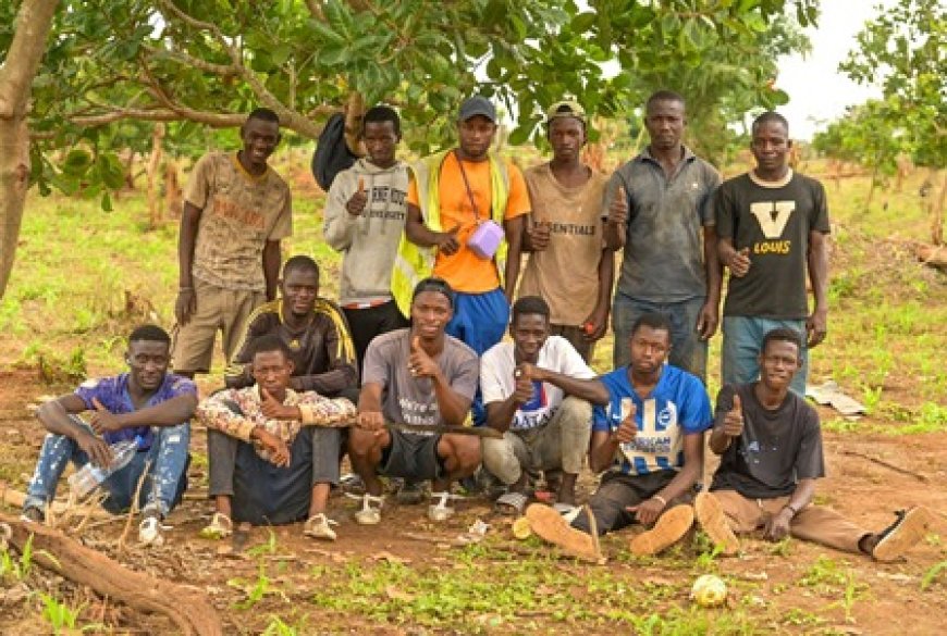 Camp International De Reboisement 2026 A KANI : La Fondation Cœur Vert mobilise l’Afrique et l’Europe pour planter 50 000 arbres