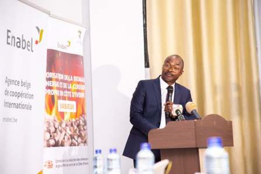 Transitional énergétique : La Côte d'Ivoire valide sa Stratégie Nationale de la Cuisson Propre à Yamoussoukro