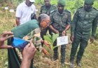 Reboisement à Katadji : 150 arbres plantés lors d'une cérémonie environnementale
