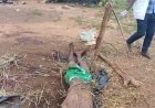 Ouragahio : Un individu retrouvé mort dans une cour à Gbetro
