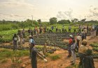 Reboisement à Kani : La Fondation Cœur Vert achève sa 21ᵉ édition sur un bilan positif de plus de 35 000 arbres plantés