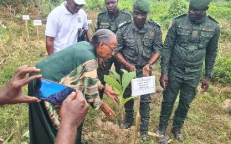 Reboisement à Katadji : 150 arbres plantés lors d'une cérémonie environnementale
