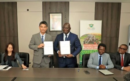 Riz local : La Côte d’Ivoire et la JICA lancent la troisième phase du PRORIL-CAD