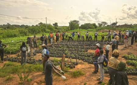 Reboisement à Kani : La Fondation Cœur Vert achève sa 21ᵉ édition sur un bilan positif de plus de 35 000 arbres plantés