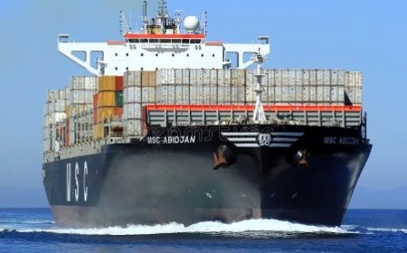 Port d'Abidjan : La mafia silencieuse des armateurs qui ruine les transitaires