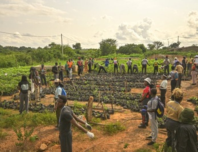 Reboisement à Kani : La Fondation Cœur Vert achève sa 21ᵉ édition sur un bilan positif de plus de 35 000 arbres plantés