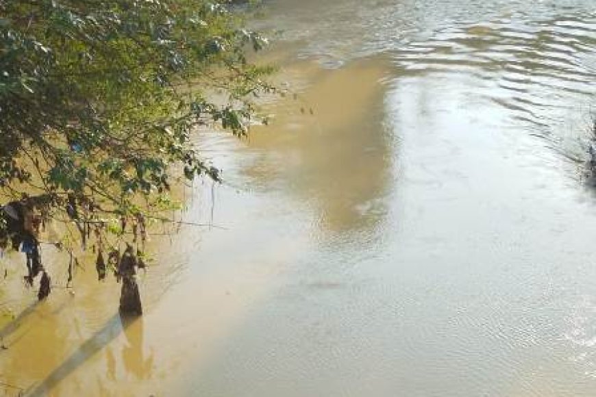 Pollution de la rivière Agnéby : Le préfet sonne l'alerte et déploie un plan d'urgence pour l'accès à l'eau potable