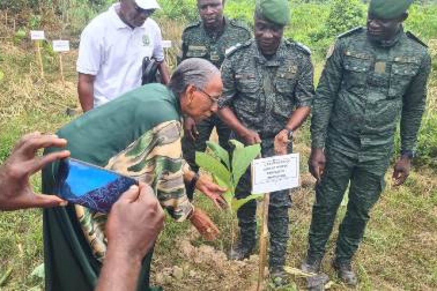Reboisement à Katadji : 150 arbres plantés lors d'une cérémonie environnementale