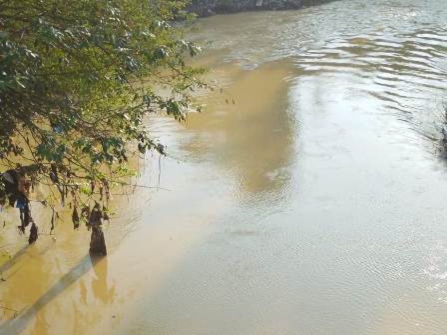 Pollution de la rivière Agnéby : Le préfet sonne l'alerte et déploie un plan d'urgence pour l'accès à l'eau potable