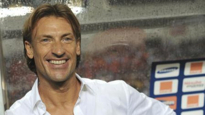 Retour d'Hervé Renard à la tête des Éléphants : La FIF mise sur l'homme des grands défis pour écrire une nouvelle page de gloire