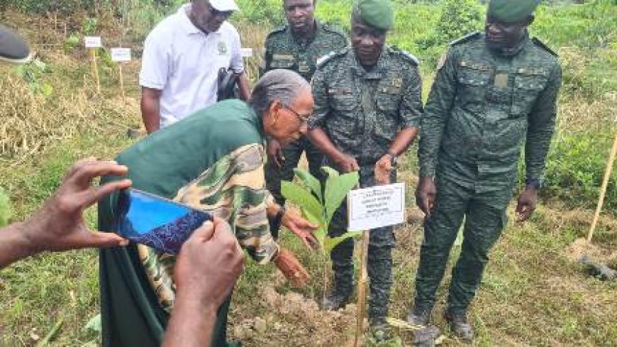 Reboisement à Katadji : 150 arbres plantés lors d'une cérémonie environnementale