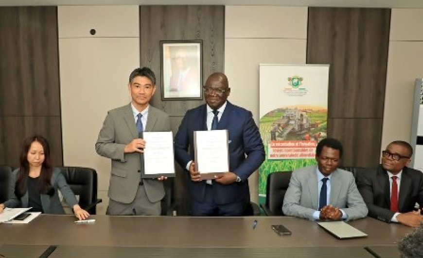 Riz local : La Côte d’Ivoire et la JICA lancent la troisième phase du PRORIL-CAD
