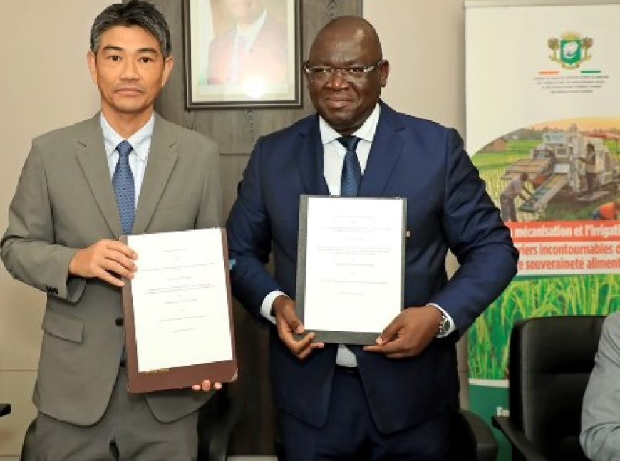 Riz local : La Côte d’Ivoire et la JICA lancent la troisième phase du PRORIL-CAD