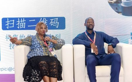 Investissements chinois : Le CEPICI ouvre la voie à un projet industriel de 150 millions de dollars