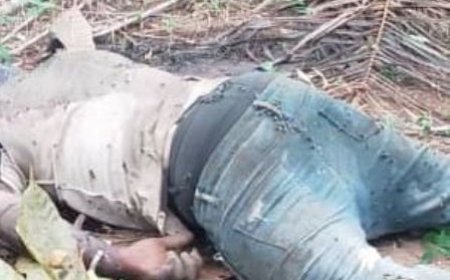 Gagnoa / Drame à Yopohue : Un jeune de 21 ans retrouvé égorgé dans son champ