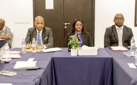 Investissement : Le CEPICI mise sur e-Licences pour simplifier les démarches administratives