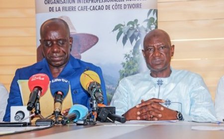 Filière café-cacao : L’OIA prône le dialogue et rejette les appels à la grève