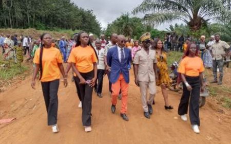 Ono-salci écrit une nouvelle page : La diaspora pose la première pierre de son retour au pays